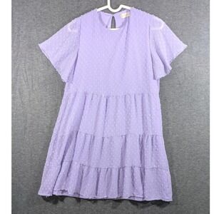 Altard State Purple Embroidered Baby Doll Dress Lined Romantic‎ Coquette Size M